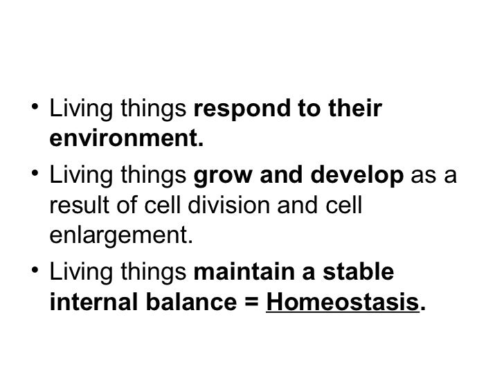 define homeostasis and give an example