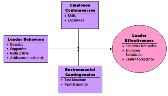 example of howgenes determine the characteristics of an organization