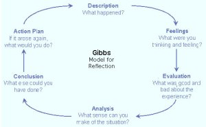 example of using gibbs model of reflection