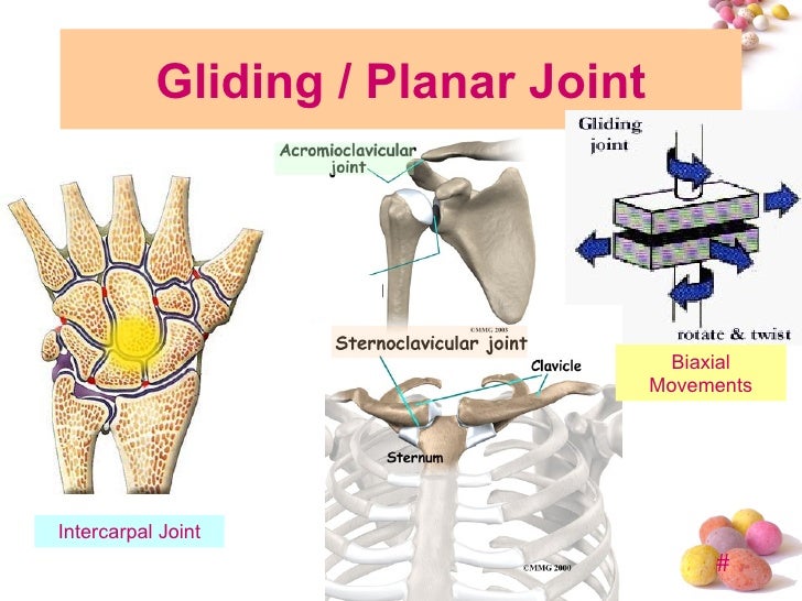 what is a gliding joint example