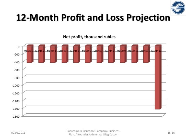 profit and loss projection example