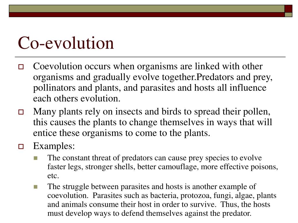what is divergent evolution give an example