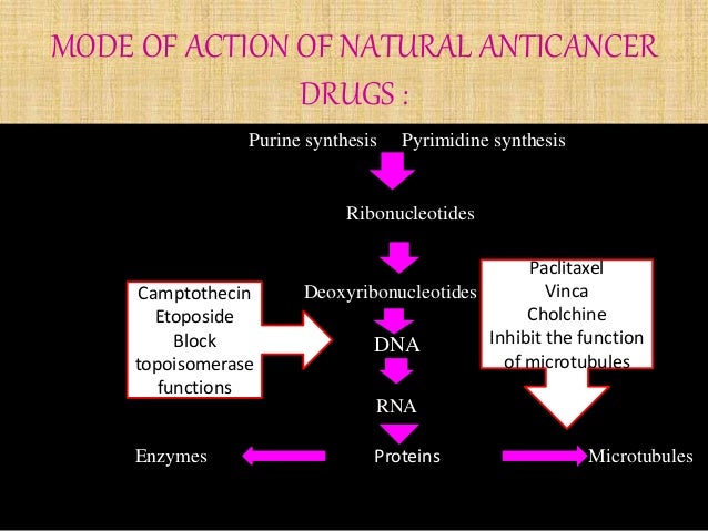 example of plant alkaloid antineoplastic drugs