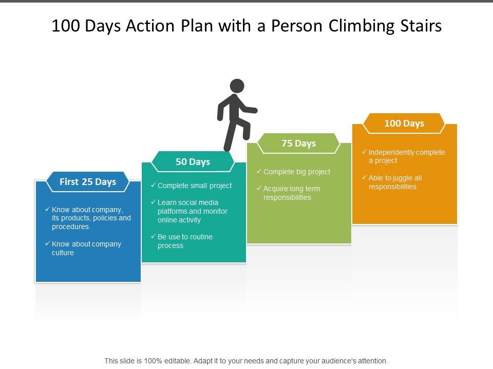 100 day action plan example