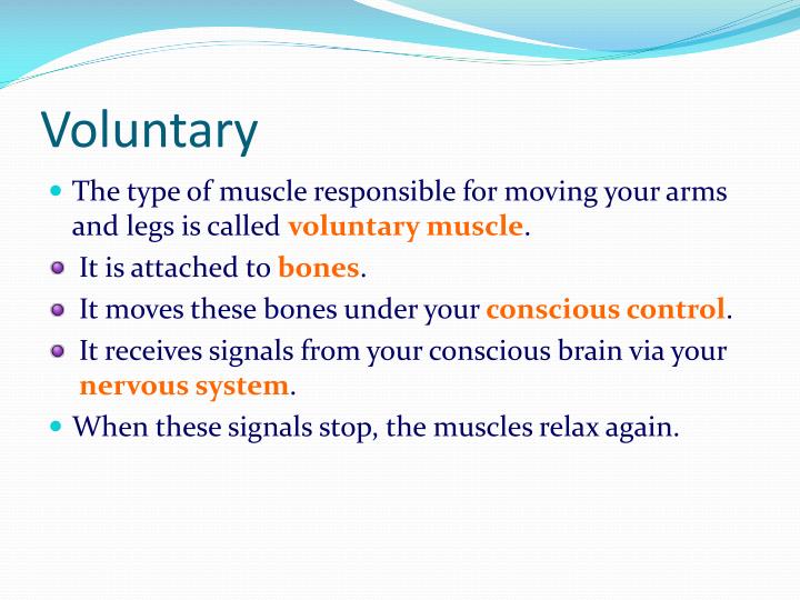 what is an example of a voluntary muscle