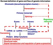 an example of gene flow