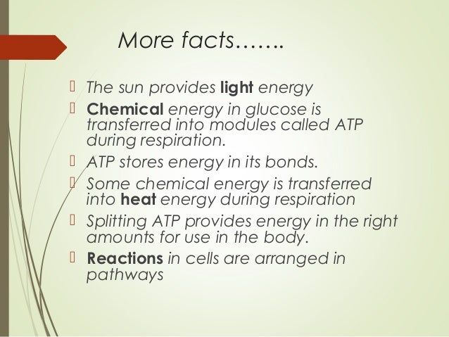 example of light energy to chemical energy
