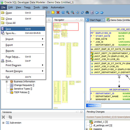 data dictionary in oracle example