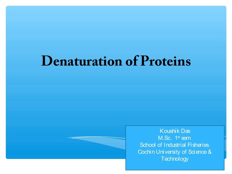 define denatured protein with example