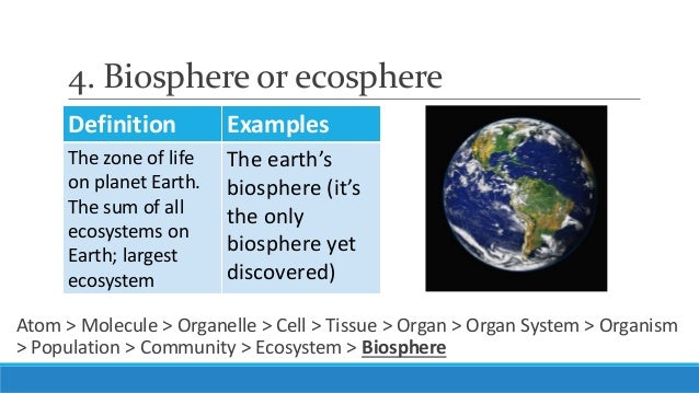 example of a mixture in the biosphere