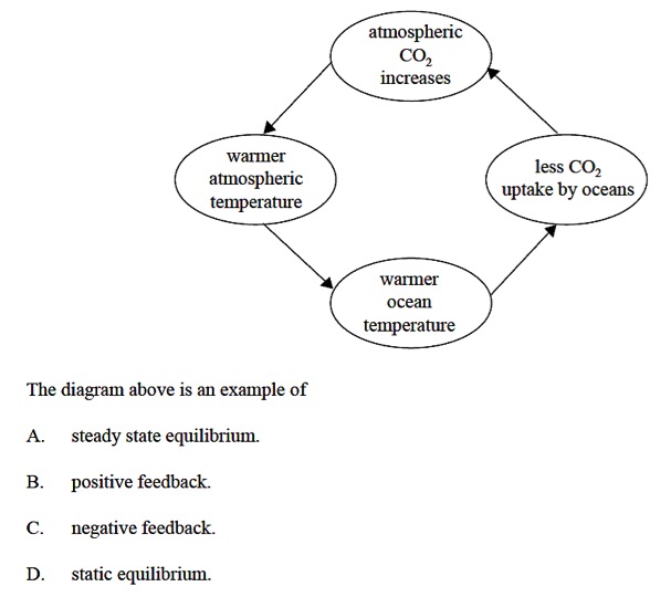 negative feedback loop example environment
