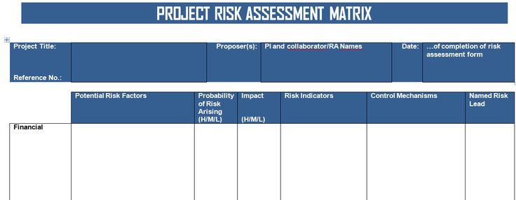 risk assessment project dissertation example
