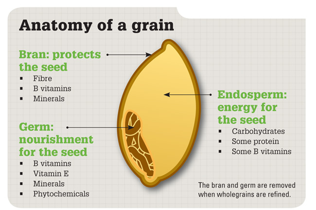 what is an example of grains