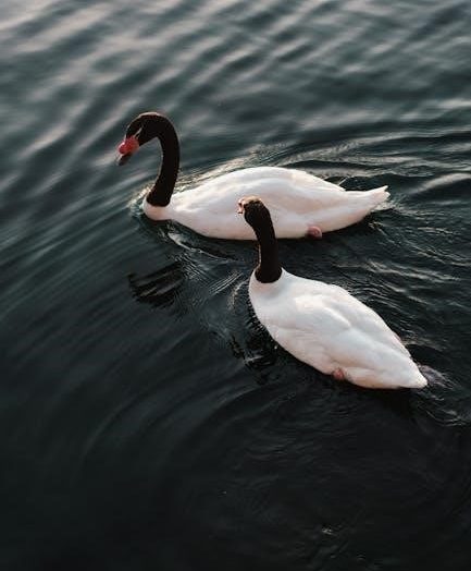 lady bird deed florida pdf