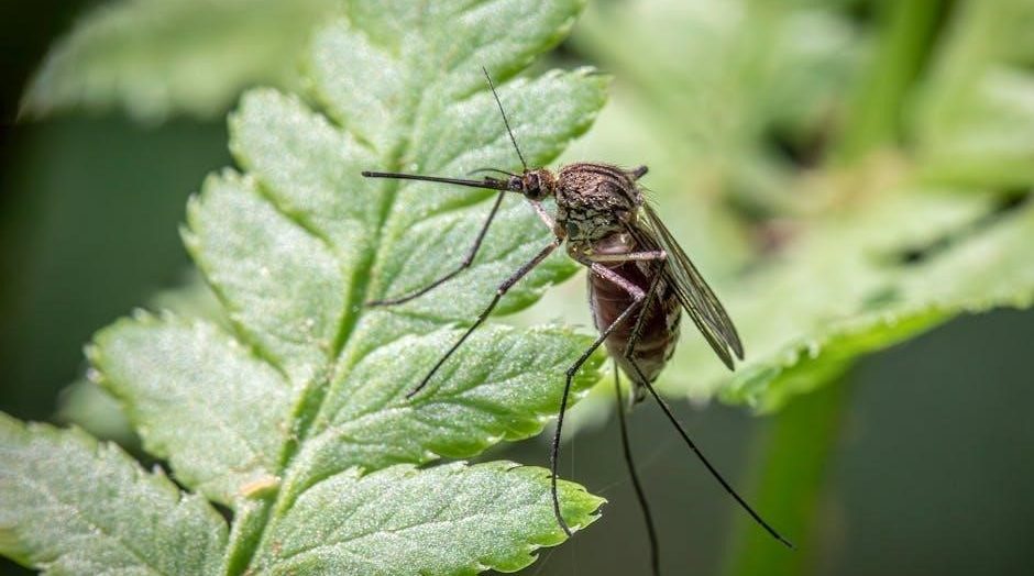 thermacell mosquito repellent instructions