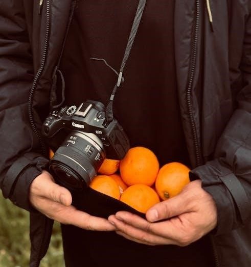 nikon d40x manual