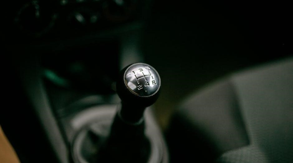 ohio driver’s manual 2024