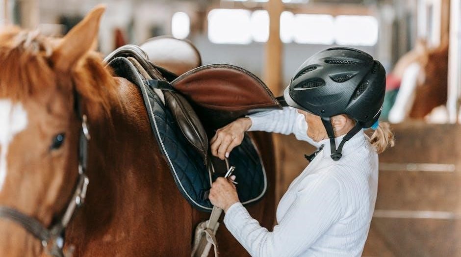 horse riding helmet size guide