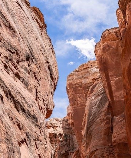 manual de manejo de arizona en español
