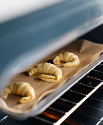 maytag gemini double oven manual mgt8775xs00